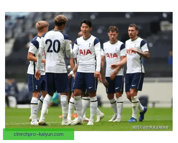 热刺球队结构分析：塑造未来英超冠军的基础值得关注