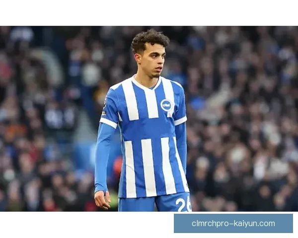 布莱顿关键球员状态回暖，球队竞争力增强值得关注